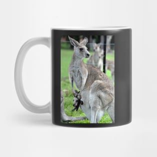 Australie - Newcastle, Kangourou Mug